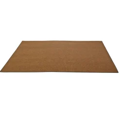 Environments® Tides Indoor/Outdoor Carpet 7' x 12' - Reef Rust
