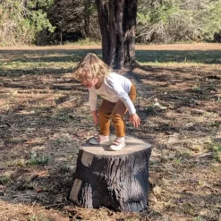 Evolve Play Bear Stump