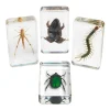 Excellerations® Acrylic Garden Friends Specimens - Set of 4
