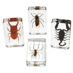 Excellerations® Acrylic Scary Bug Specimens - Set of 4