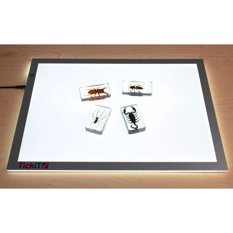 Excellerations® Acrylic Scary Bug Specimens - Set of 4