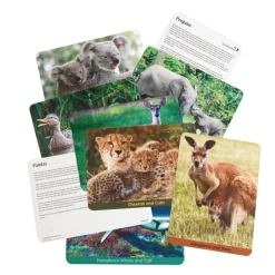Excellerations® Animal Families Around the World Wooden Puzzles and Posters Set of 9