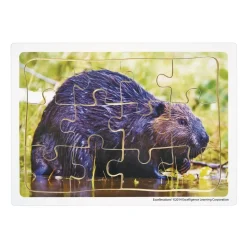 Excellerations® Animals in Their Biomes Puzzles - Set of 8