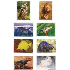 Excellerations® Animals in Their Biomes Puzzles - Set of 8