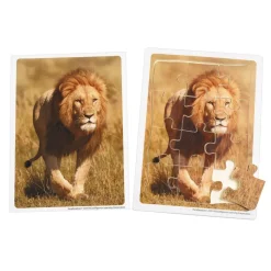 Excellerations® Animals in Their Biomes Puzzles - Set of 8