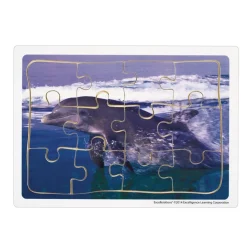 Excellerations® Animals in Their Biomes Puzzles - Set of 8