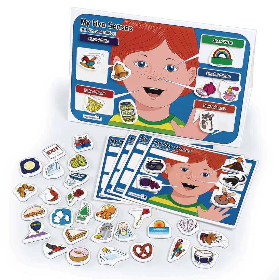 Excellerations® Bilingual My 5 Senses Magnet Activity Set