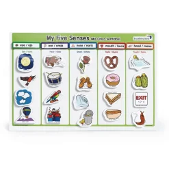 Excellerations® Bilingual My 5 Senses Magnet Activity Set