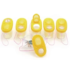 Excellerations® Bug Observation Boxes - Set of 6