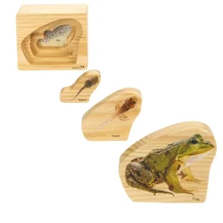 Excellerations® earlySTEM™ Life Cycles Nesting Puzzles - Set of 3