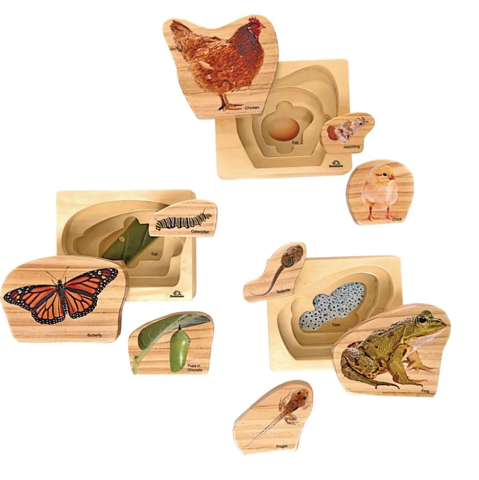 Excellerations® earlySTEM™ Life Cycles Nesting Puzzles - Set of 3