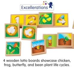 Excellerations® earlySTEM™ Life Cycles Sequencing Lotto