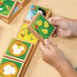 Excellerations® earlySTEM™ Life Cycles Sequencing Lotto