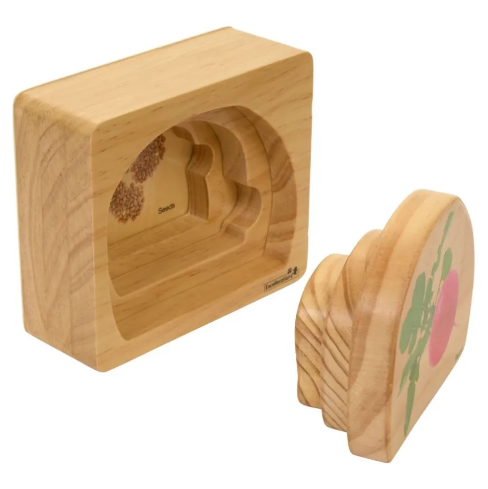 Excellerations® earlySTEM™ Life Cycle Nesting Puzzles - Fruit & Vegetable - Set of 6