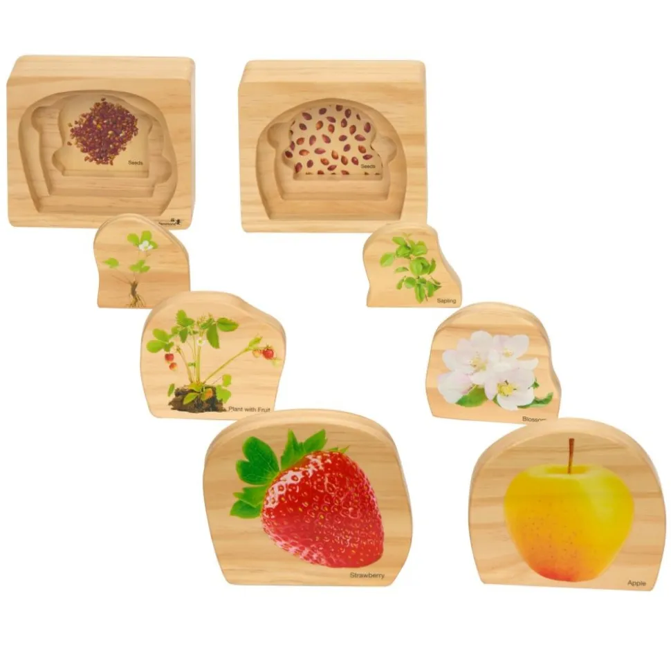 Excellerations® earlySTEM™ Life Cycle Nesting Puzzles - Fruit & Vegetable - Set of 6