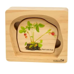 Excellerations® earlySTEM™ Life Cycle Nesting Puzzles - Fruit - Set of 3