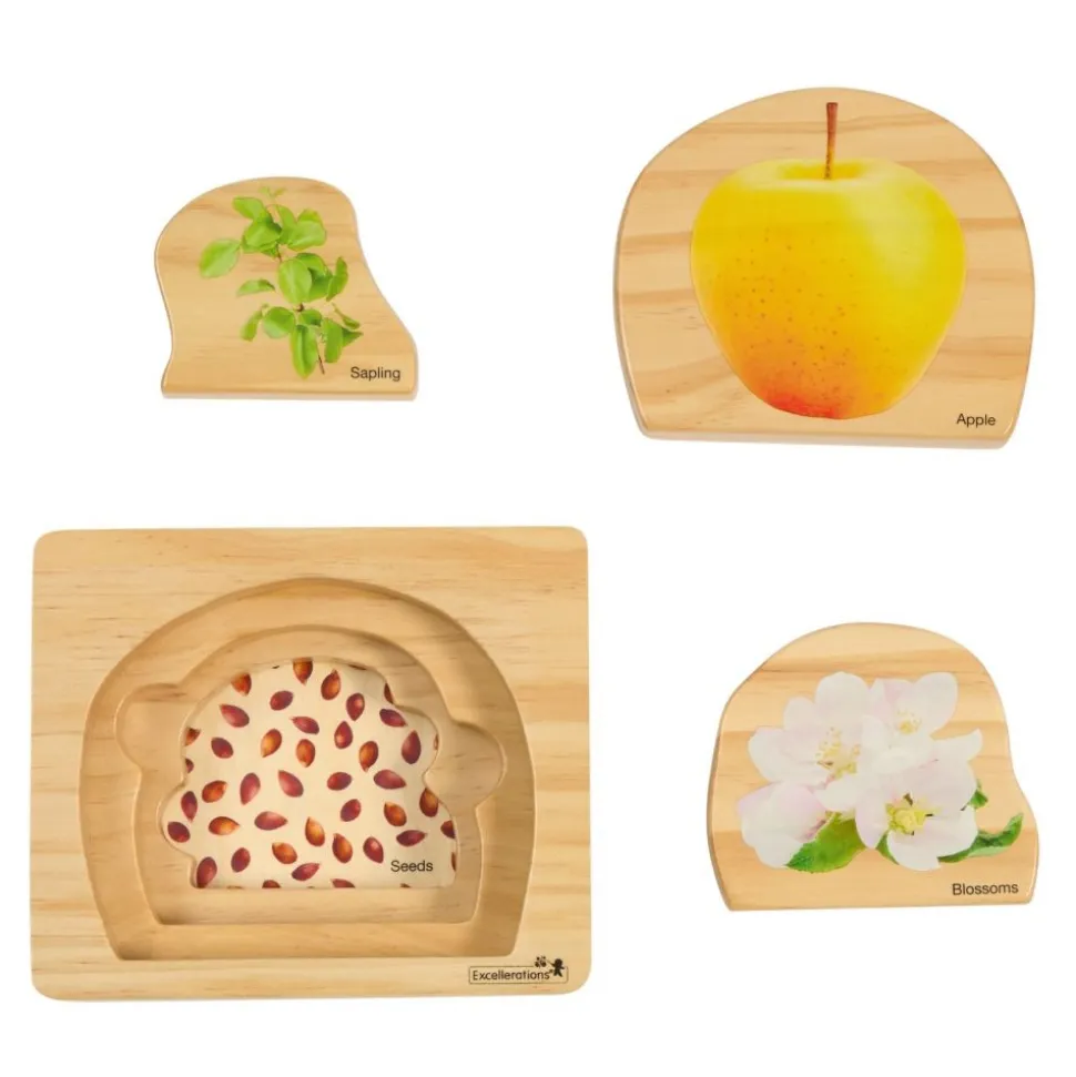 Excellerations® earlySTEM™ Life Cycle Nesting Puzzles - Fruit - Set of 3