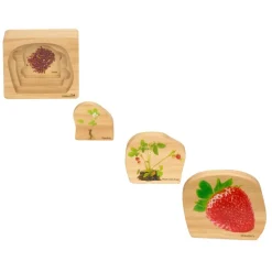 Excellerations® earlySTEM™ Life Cycle Nesting Puzzles - Fruit - Set of 3