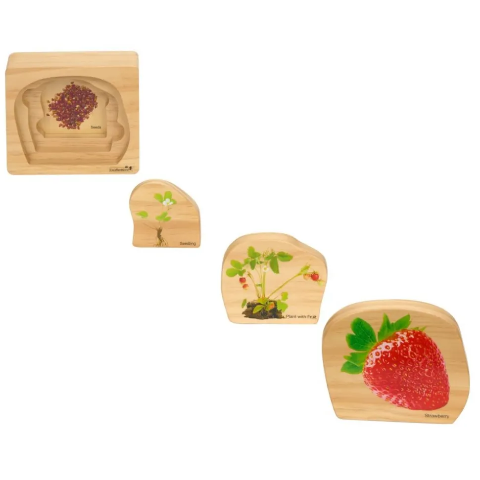 Excellerations® earlySTEM™ Life Cycle Nesting Puzzles - Fruit - Set of 3