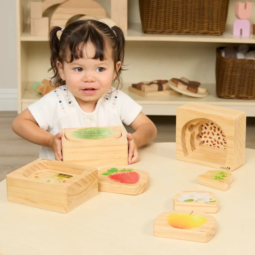 Excellerations® earlySTEM™ Life Cycle Nesting Puzzles - Fruit - Set of 3