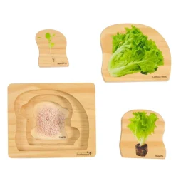 Excellerations® earlySTEM™ Life Cycle Nesting Puzzles - Vegetables - Set of 3