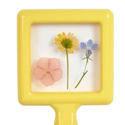 Excellerations® earlySTEM™ Specimen Viewers - Set of 4