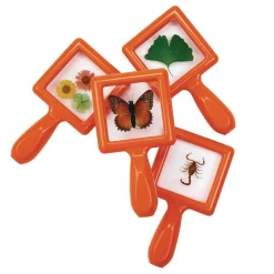 Excellerations® earlySTEM™ Toddler Specimen Viewers - Set of 4