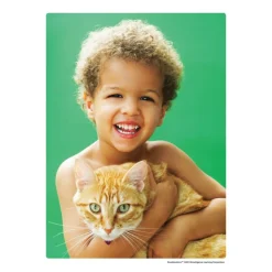 Excellerations® Emotions & Moods Posters for Schools - Set of 25