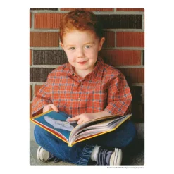Excellerations® Emotions & Moods Posters for Schools - Set of 25