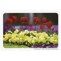 Excellerations® Familiar Object Language Card Set, Set of 168