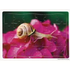 Excellerations® Garden Creature Puzzles - Set of 8