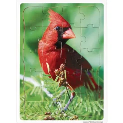 Excellerations® Garden Creature Puzzles - Set of 8