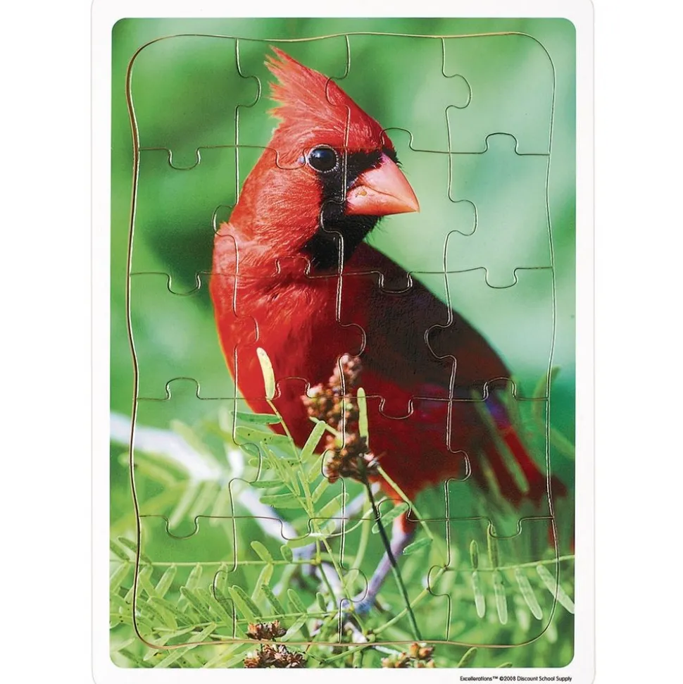Excellerations® Garden Creature Puzzles - Set of 8
