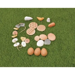 Excellerations® Infant & Toddler Sensory Kit