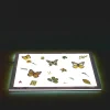 Excellerations® Laminated Specimen Set 28 Pieces