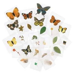 Excellerations® Laminated Specimen Set 28 Pieces