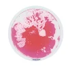 Excellerations® Liquid Tile Circle