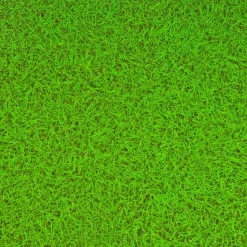 Excellerations® My First Playmat Grass Design