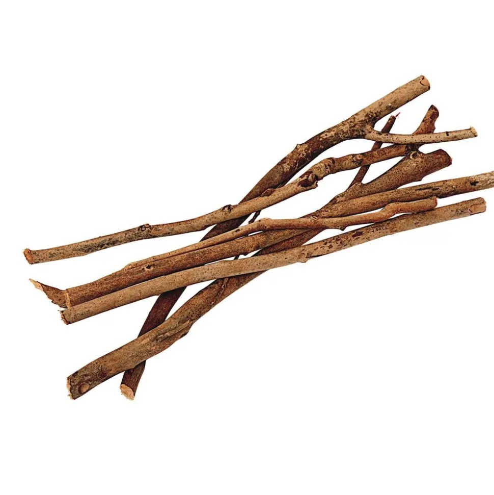 Excellerations® Natural Branches 17.6 oz (500 g)