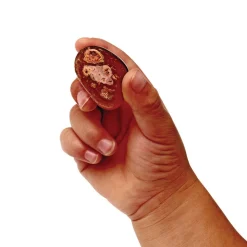 Excellerations® Polished Pebbles - 2 lbs.