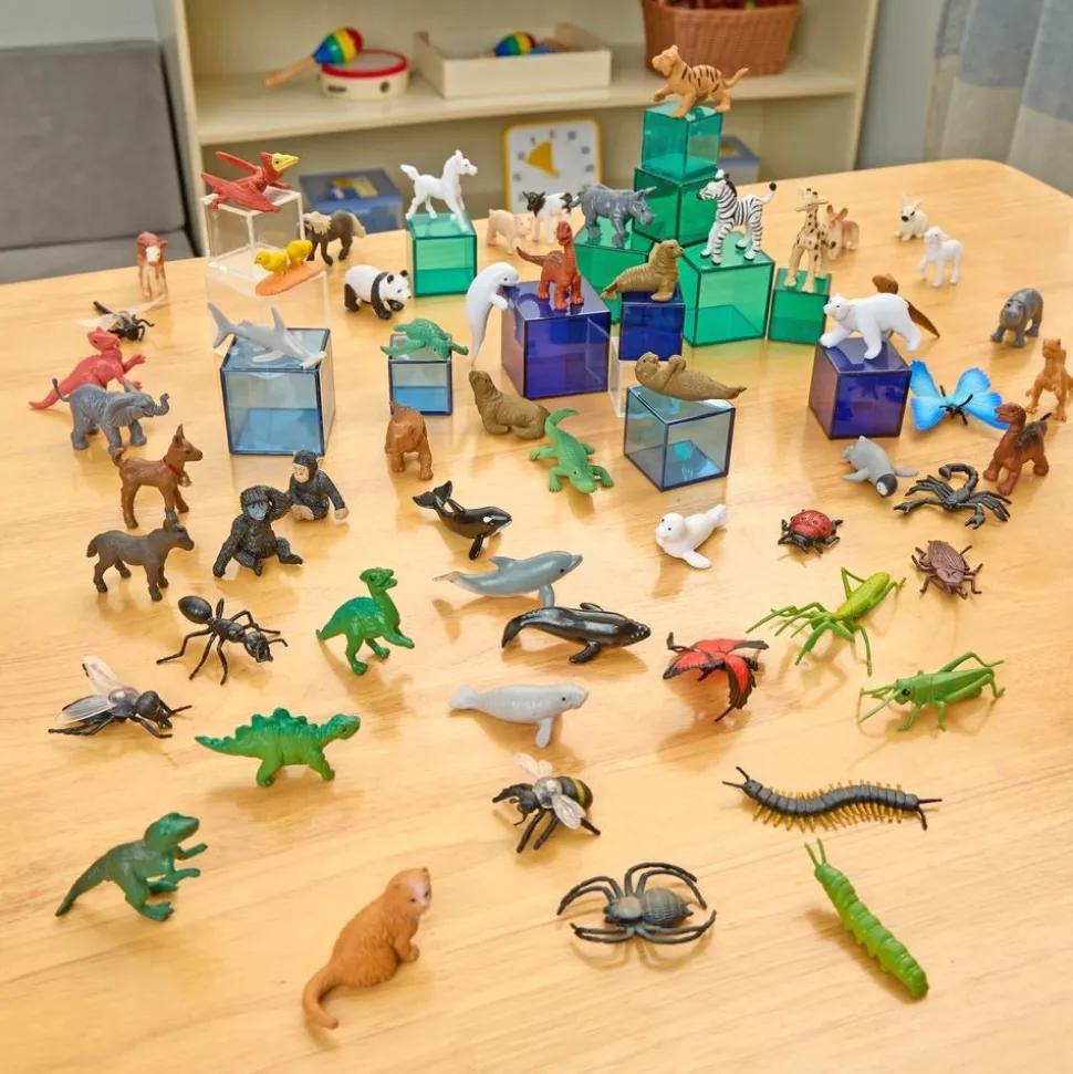 Excellerations® Safari Ltd® Forest Animal TOOB® Kits - 5-Pack Set