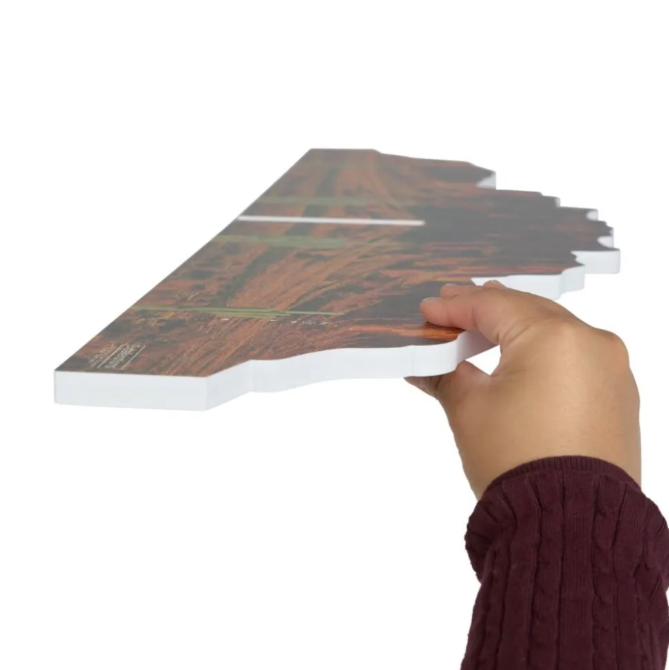 Excellerations® Scenery Station - Desert
