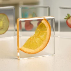 Excellerations® SpeciFun™ 4 Fruit Tile Specimens & Cards
