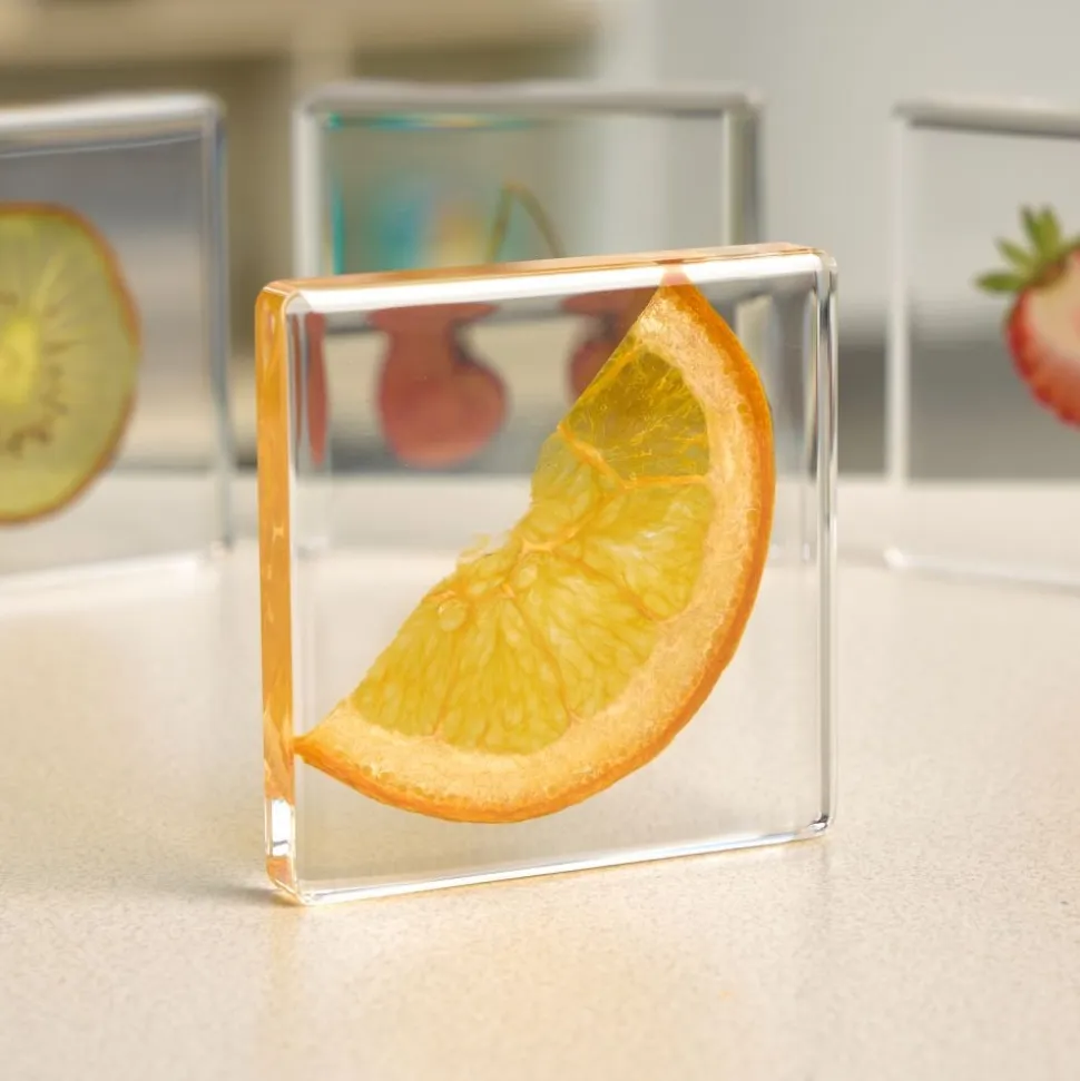 Excellerations® SpeciFun™ 4 Fruit Tile Specimens & Cards