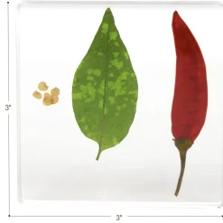 Excellerations® SpeciFun™ 4 Fruit + Vegetable Lifecycle Tiles & Cards