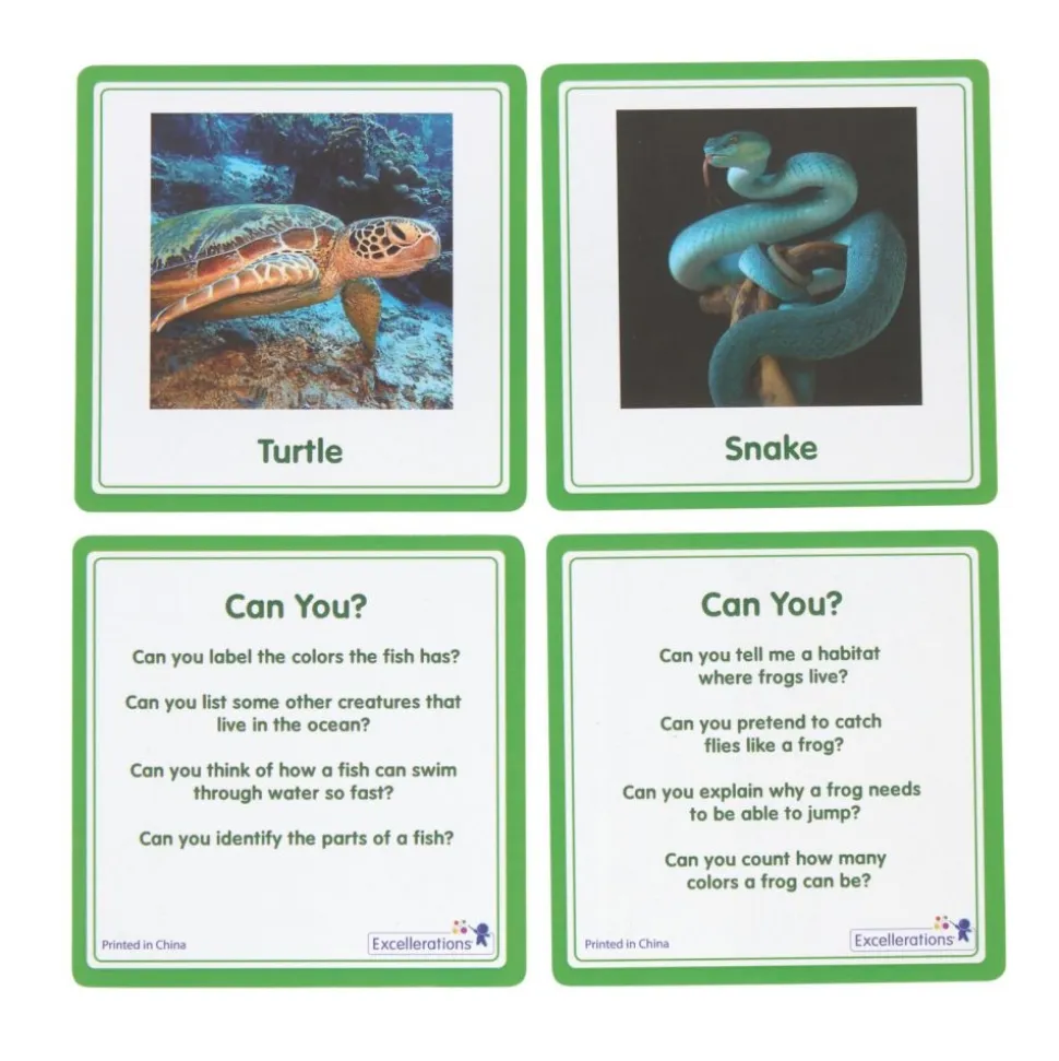 Excellerations® SpeciFun™ 4 Skeleton Specimen Tiles & Cards