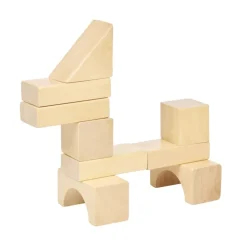 Excellerations® Wooden Building Blocks - Set of 50