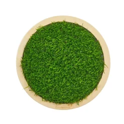 Excellerations® Wooden Sensory Grass Stepping Stones - Set of 4
