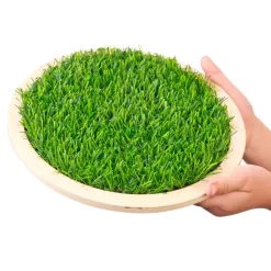 Excellerations® Wooden Sensory Grass Stepping Stones - Set of 4
