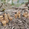 ExploreNook™ Small World - Wooden Multi-Figure Set of 16